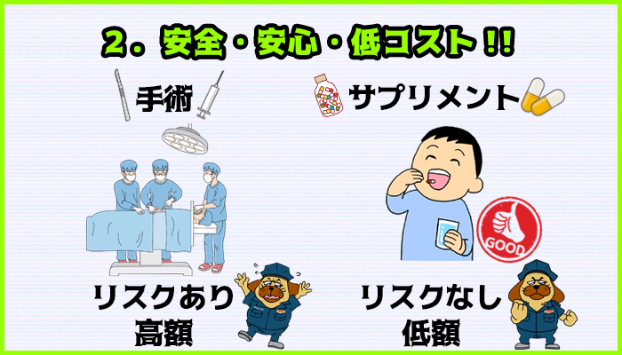 ペニス増大サプリは安全、安心、低コストの図