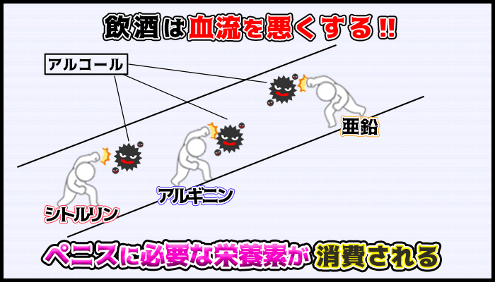 アルコールの分解にペニスの成長に必要な栄養素が使われるの図