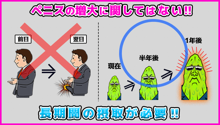 シトルリンに即効性はないの図