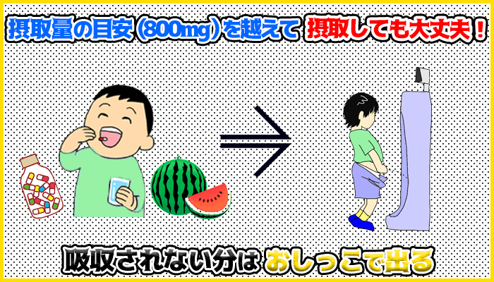 シトルリンの摂取量目安を超えて摂取しても大丈夫の図