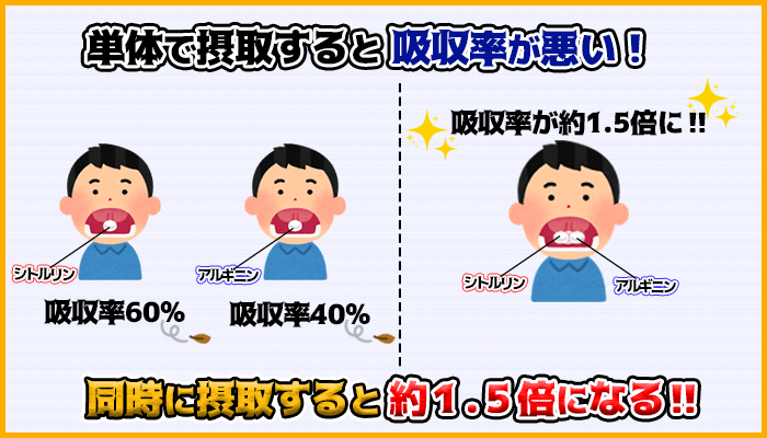 アルギニンとシトルリンを同時に摂取すると吸収率が約1.5倍になるの図