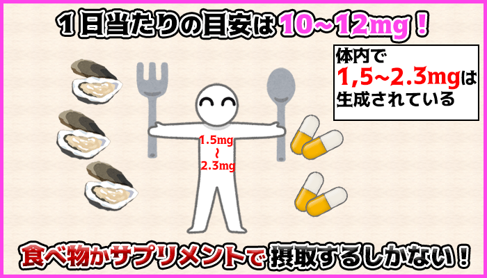 亜鉛は体内でも少量生成されているが目安は10～12ｍｇ必要の図