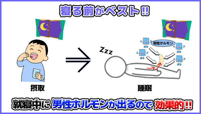 亜鉛の摂取するタイミングは就寝前がベストの図