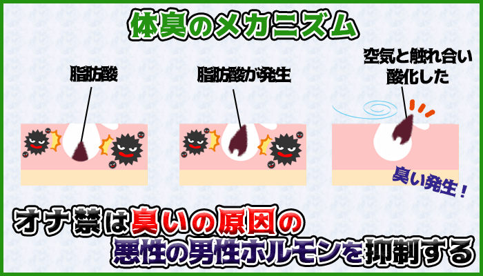 オナ禁すると体臭が改善するの図