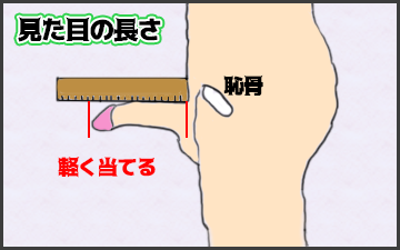 ペニスサイズの見た目の長さの測り方の図