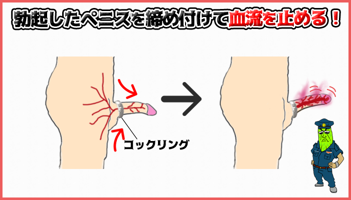 コックリングを付ければペニスを硬くできるの図