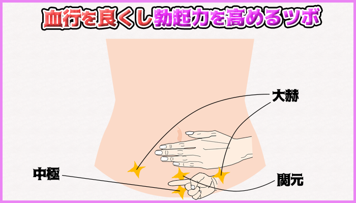 血行を良くするツボを押せばペニスは硬くなるの図