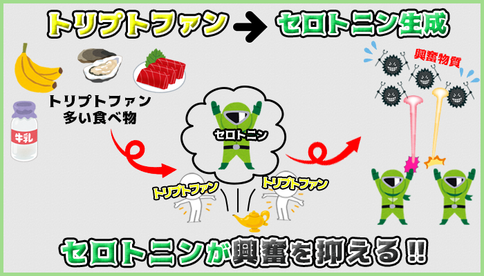 トリプトファンがセロトニンを生成して興奮を抑える図