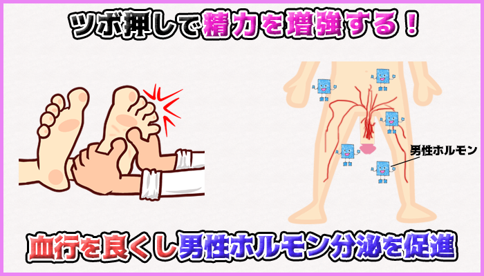 ツボ押しで血行と男性ホルモン分泌を促進して精力アップの図