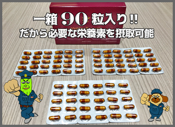 一箱に９０粒のカプセルが内包されている